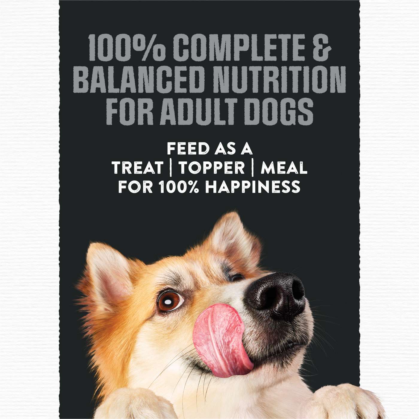 Moist & Meaty Purina Moist and Meaty High Protein Dry Dog Food With Real Chicken and Beef Dog Food Pouches; image 2 of 8