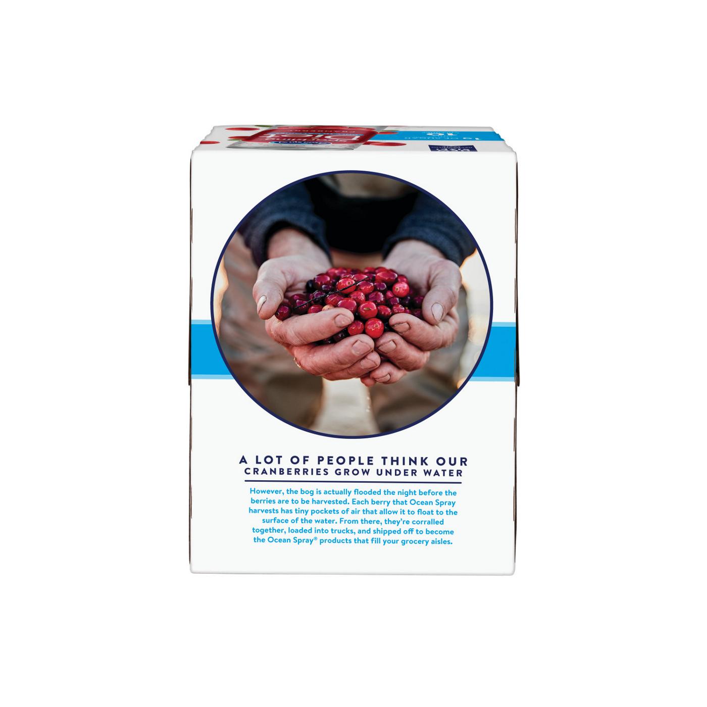 Ocean Spray Sparkling Diet Cranberry Juice Beverage 11.5 oz Cans; image 6 of 6