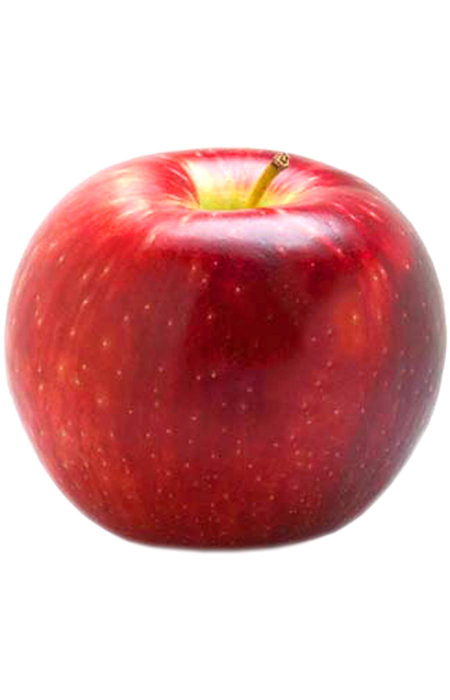 Fresh Cosmic Crisp Apple; image 3 of 3