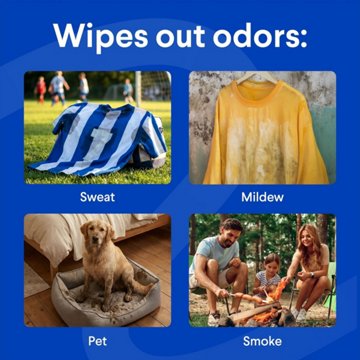 Clorox Fresh Guard Laundry Odor Remover - Clean Linen