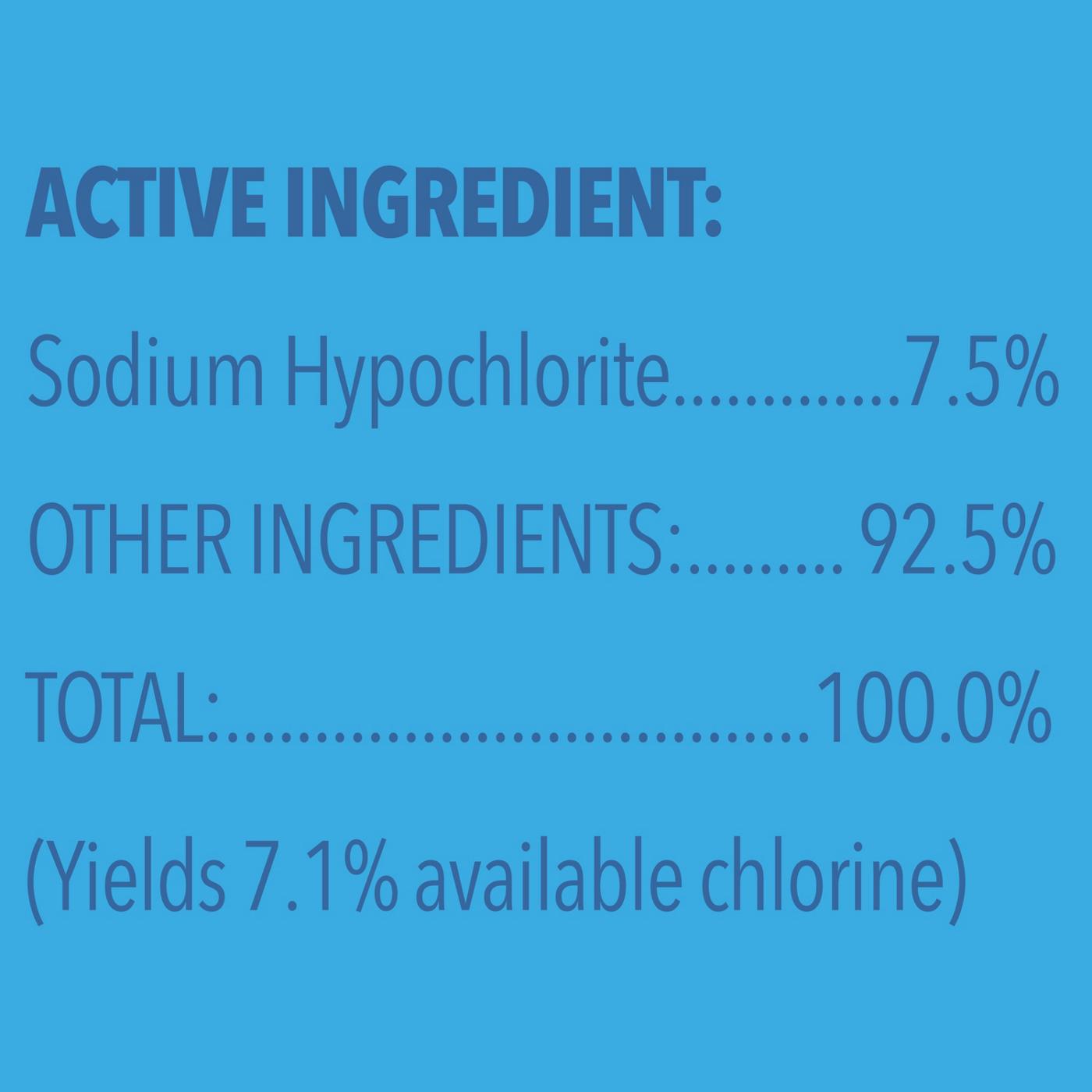 Clorox Disinfecting Bleach - Concentrated Formula - Regular; image 10 of 10
