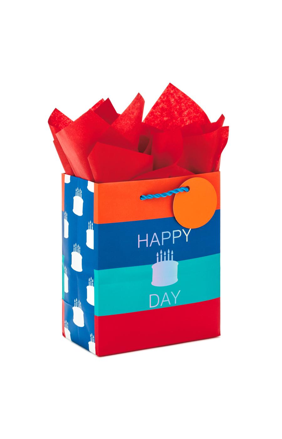 Hallmark Large Birthday Gift Bag with Tissue Paper (Blue Happy Birthday)