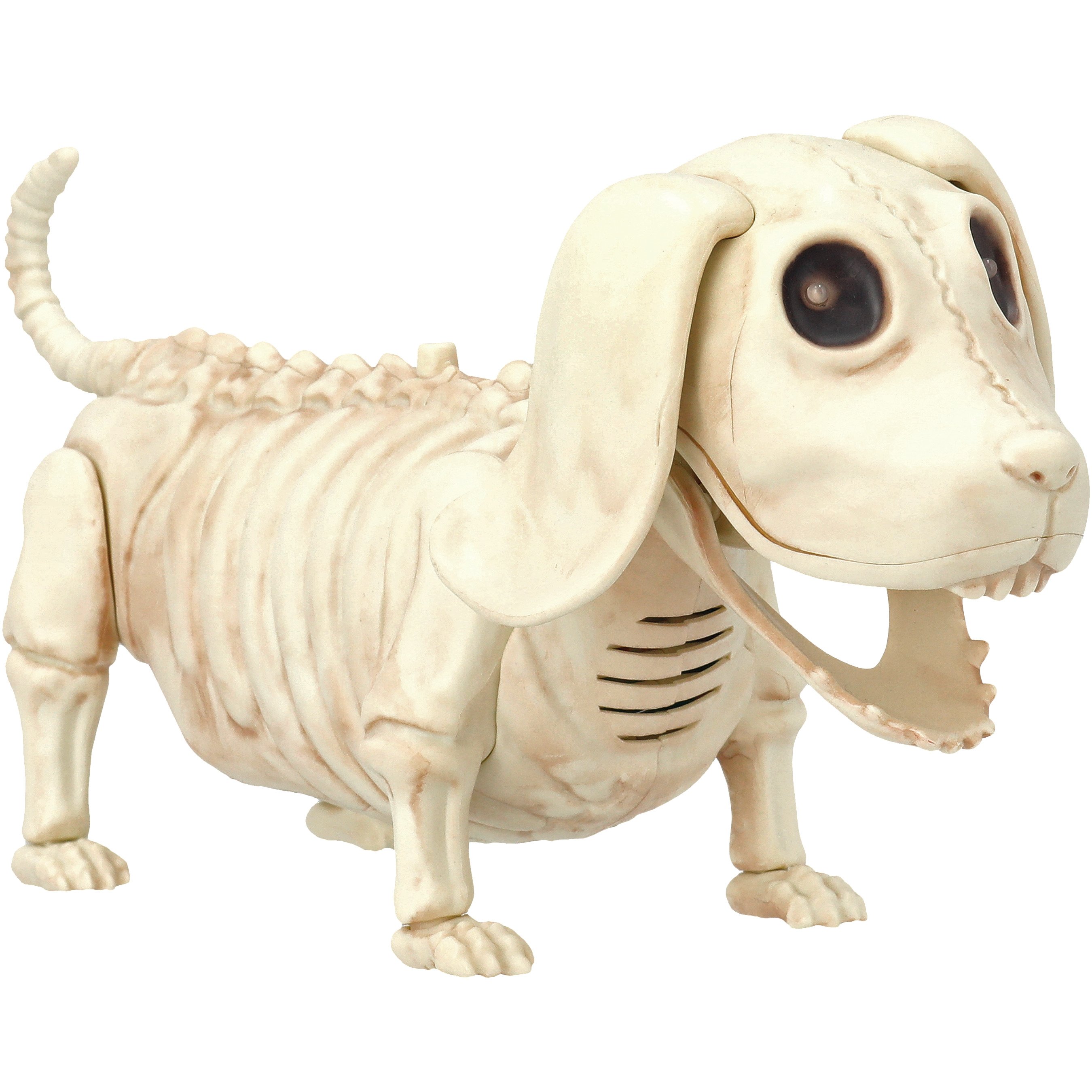Seasons Animated Skeleton Wiener Dog Halloween Decor Shop Seasonal