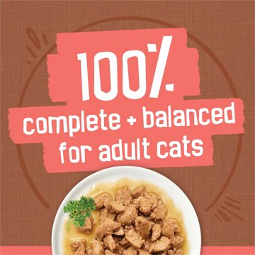 Friskies Purina Extra Gravy Wet Cat Food Chunky Variety Pack - Chicken, Turkey, Salmon, Beef