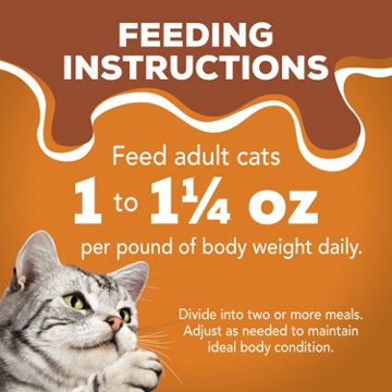 Friskies Purina Extra Gravy Wet Cat Food Chunky Variety Pack - Chicken, Turkey, Salmon, Beef