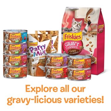 Friskies Purina Extra Gravy Wet Cat Food Chunky Variety Pack - Chicken, Turkey, Salmon, Beef