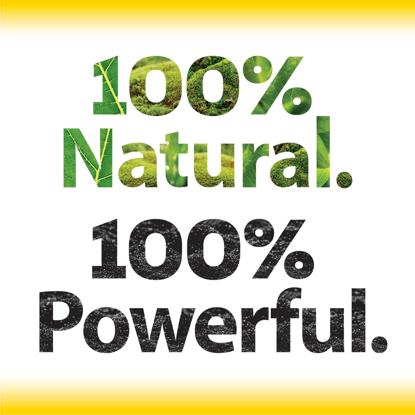 Tidy Cats Naturally Strong Unscented Clumping Litter Shop Litter