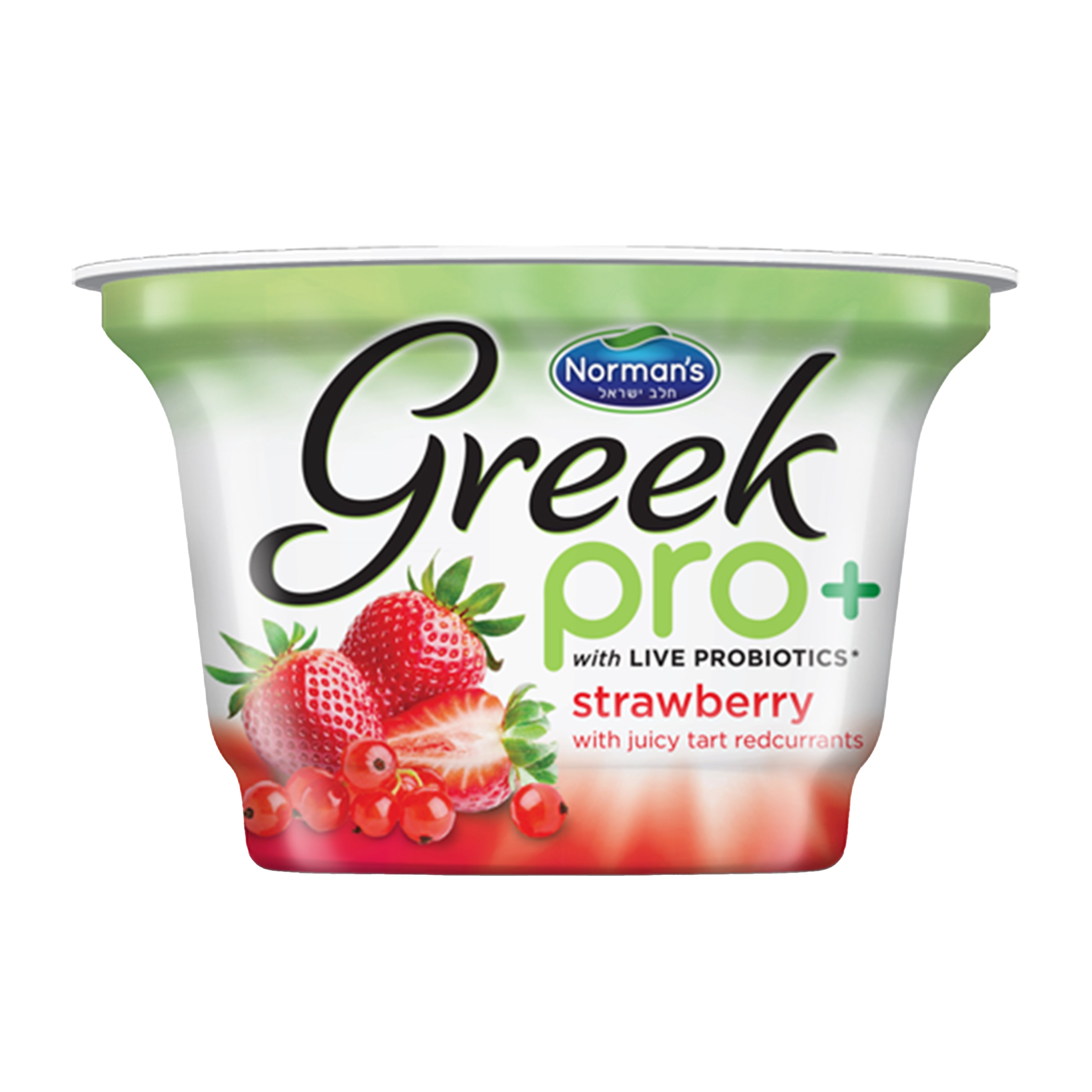 Norman's Pro + Strawberry Greek Yogurt Shop Yogurt at HEB