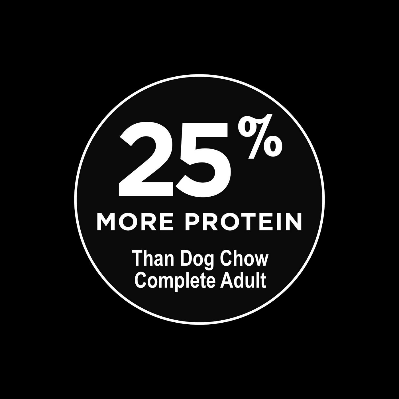 Dog Chow Purina Dog Chow High Protein Dry Dog Food, High Protein Recipe With Real Lamb & Beef Flavor; image 6 of 7