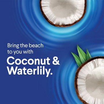 Clorox Scentiva Bathroom Toilet Cleaning Gel - Coconut and Waterlily, 24 oz