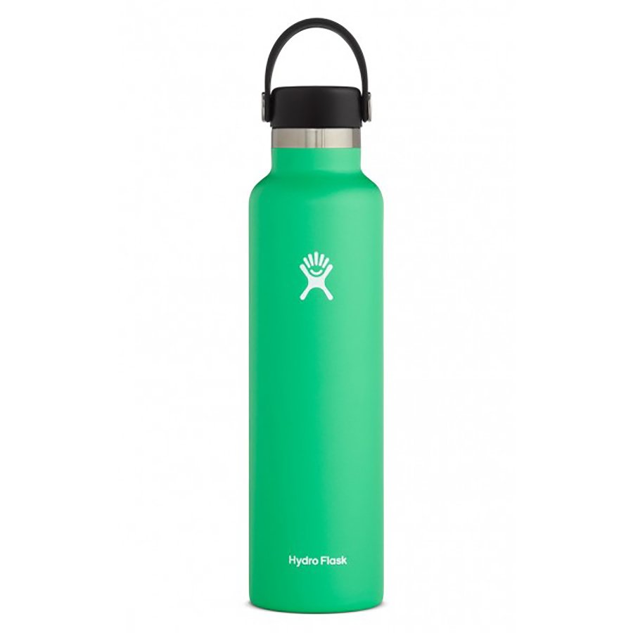 Hydro Flask Standard Mouth Water Bottle With Flex Cap, Spearmint - Shop 