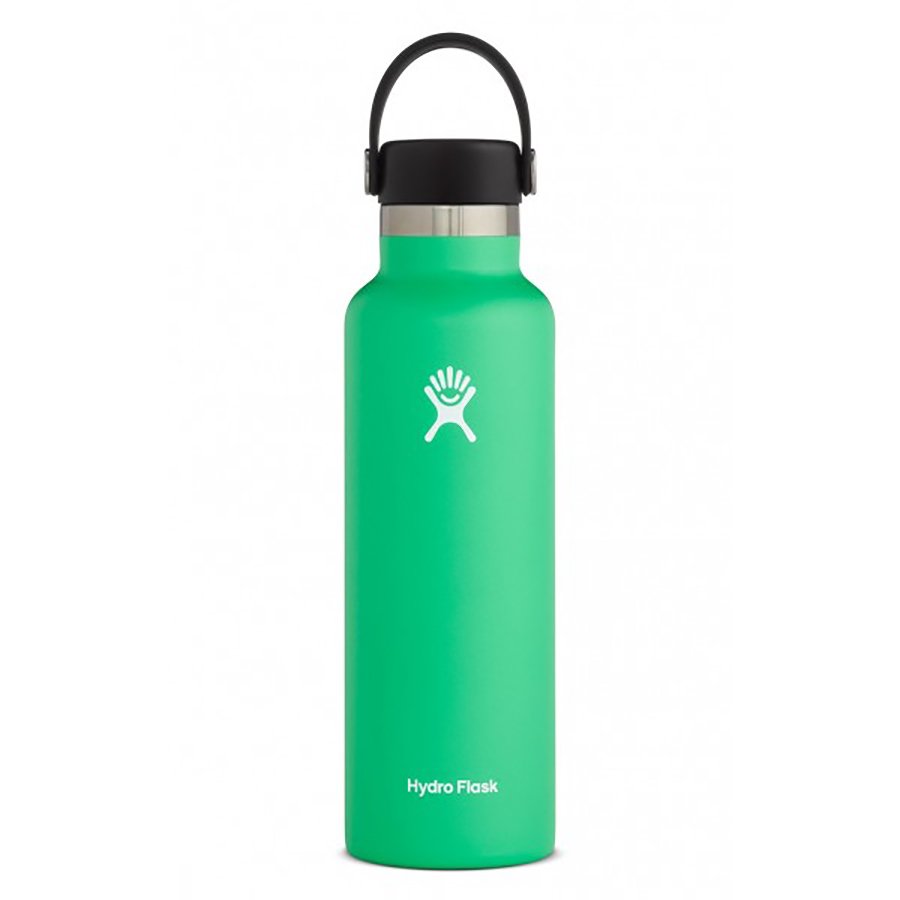 Hydro Flask Standard Mouth Water Bottle with Flex Cap, Spearmint - Shop ...