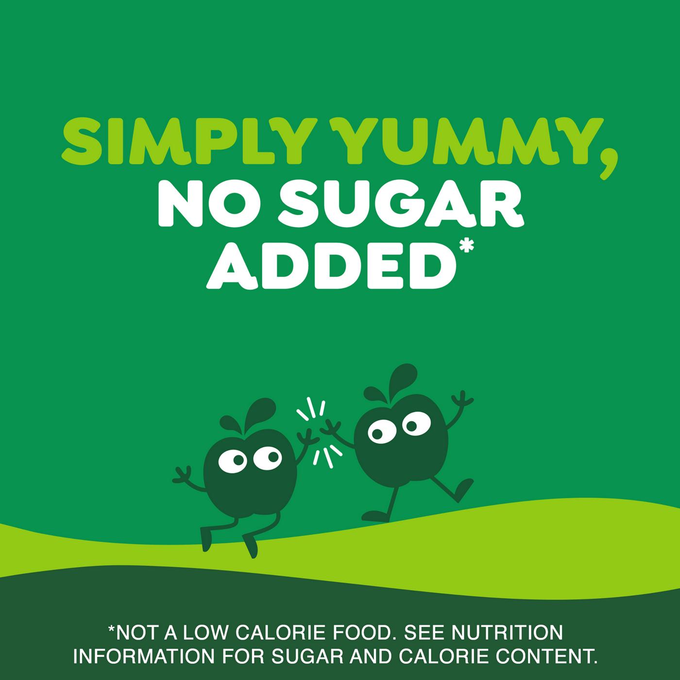 GoGo squeeZ No Sugar Added Apple Applesauce & Fruit Puree Pouches; image 2 of 9