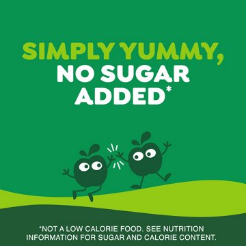 GoGo squeeZ No Sugar Added Apple Applesauce & Fruit Puree Pouches, 20 ct