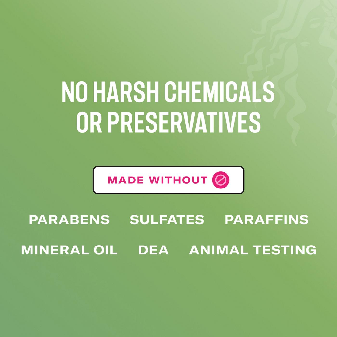 Mielle Rosemary Mint Scalp & Hair Oil; image 8 of 8