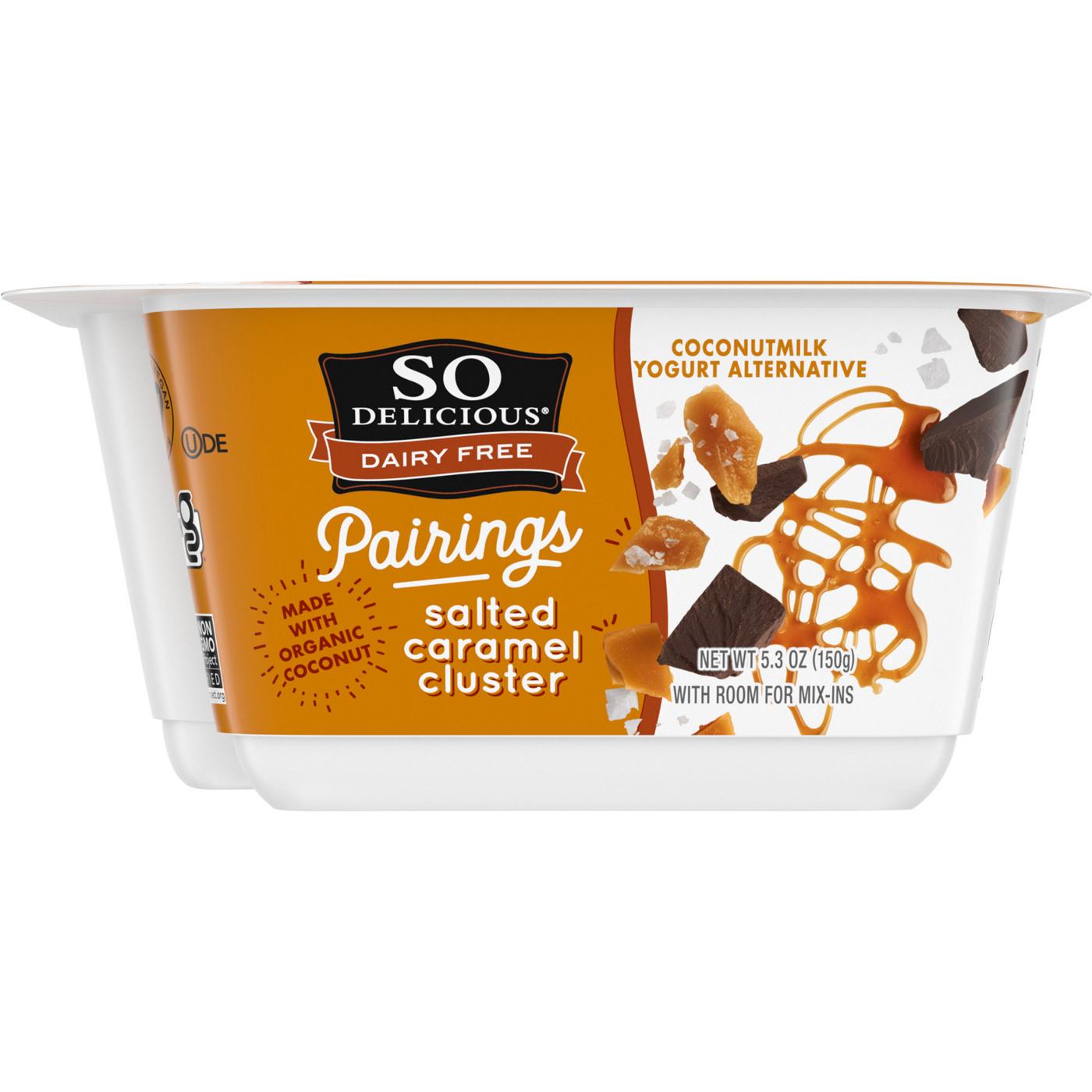 So Delicious Dairy Free Salted Caramel Cluster Coconutmilk Yogurt Alternative; image 1 of 8