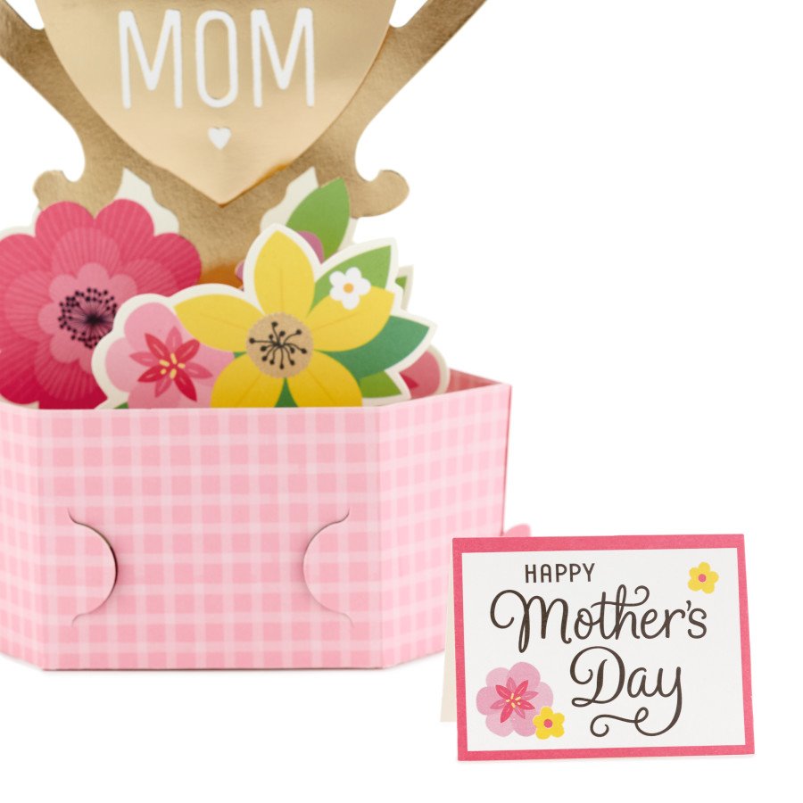 Heb mothers hot sale day gifts