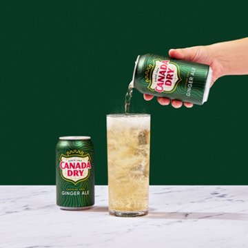 Canada Dry Ginger Ale Soda 10 pk Mini Cans, 7.5 oz