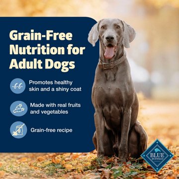 Blue Buffalo Freedom Grain Free Dry Dog Food - Chicken