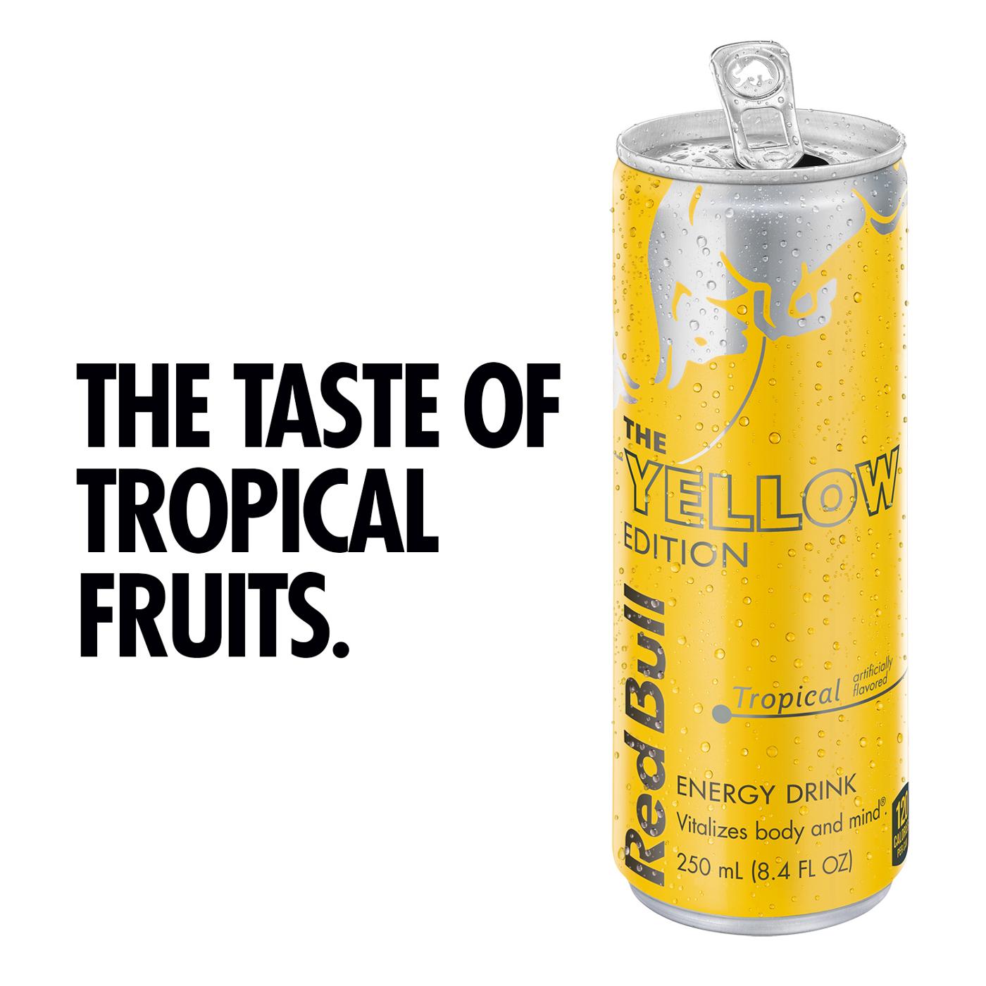 Red Bull The Yellow Edition Tropical Energy Drink 8.4 oz Cans; image 2 of 6