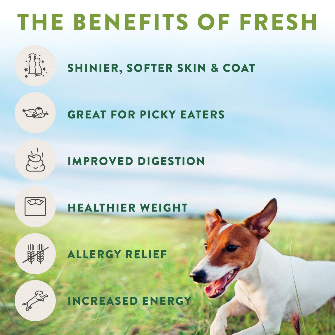 Freshpet Select Sensitive Stomach & Skin Chicken Fresh Dog Food; image 3 of 3