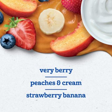 Gerber Snacks for Toddler Pouches Variety Pack - Fruit & Yogurt Favorites