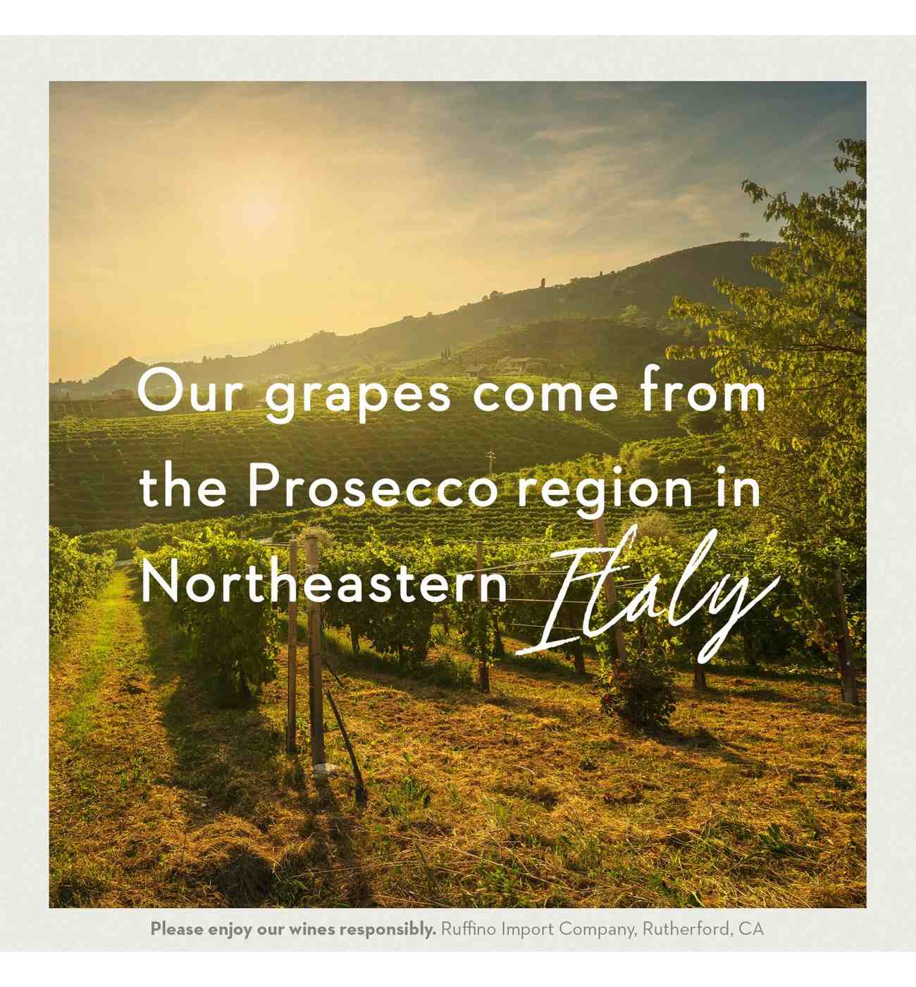 Ruffino Lumina Prosecco DOC Italy White Sparkling Wine; image 7 of 8