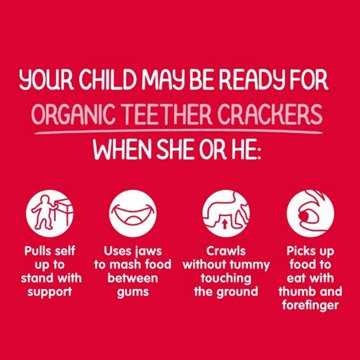 Happy Baby Organics Gluten Free Teether Crackers - Strawberry & Beet, 1.7 oz, 6 Pack