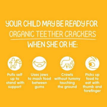 Happy Baby Organics Teether Crackers Mango & Pumpkin
