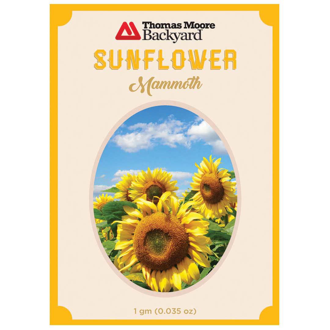 Thomas Moore Backyard Mammoth Sunflower Seed Packet - Shop Seeds At H-e-b