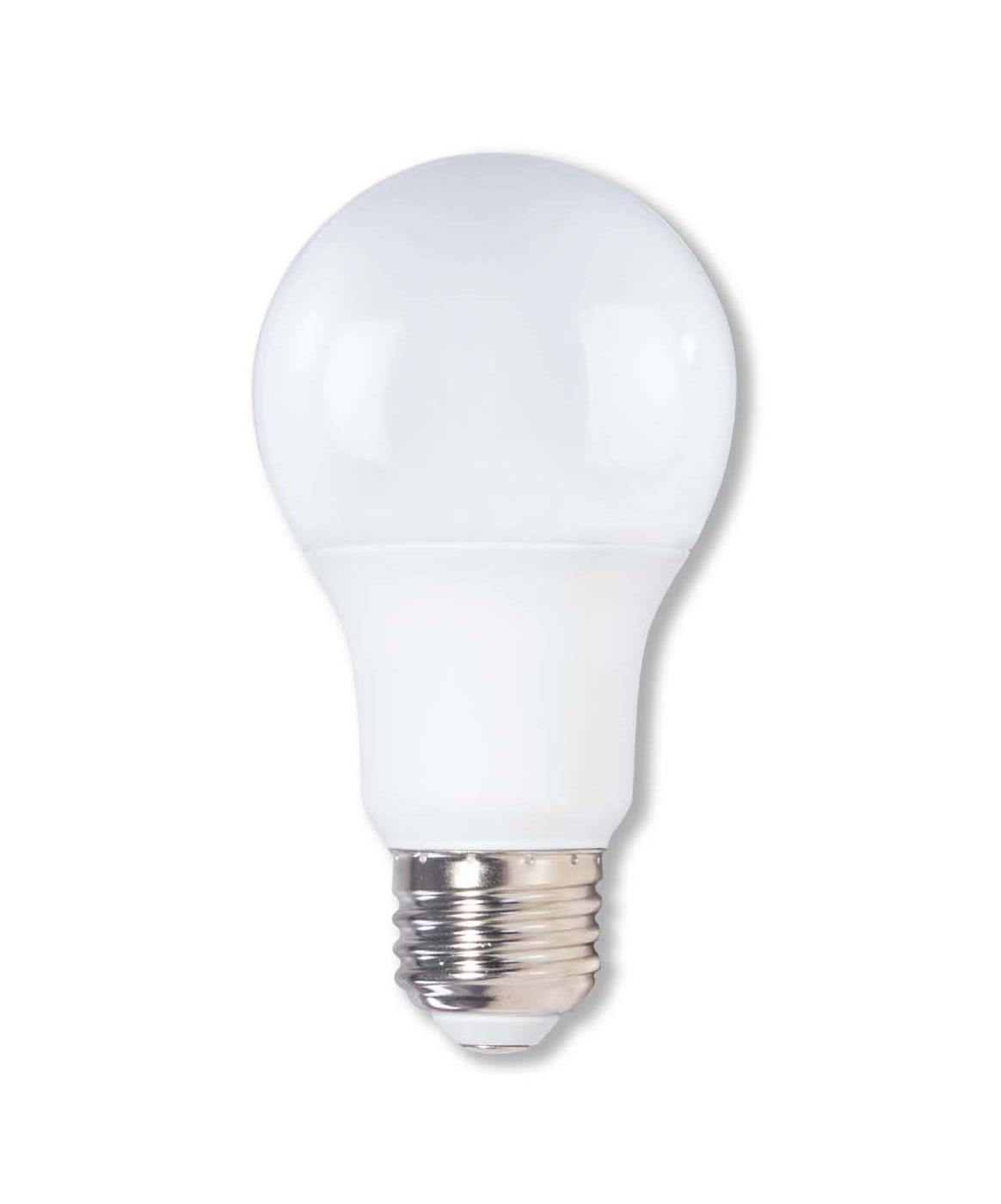 HEB A19 75Watt LED Light Bulbs Bright White Shop Light Bulbs at