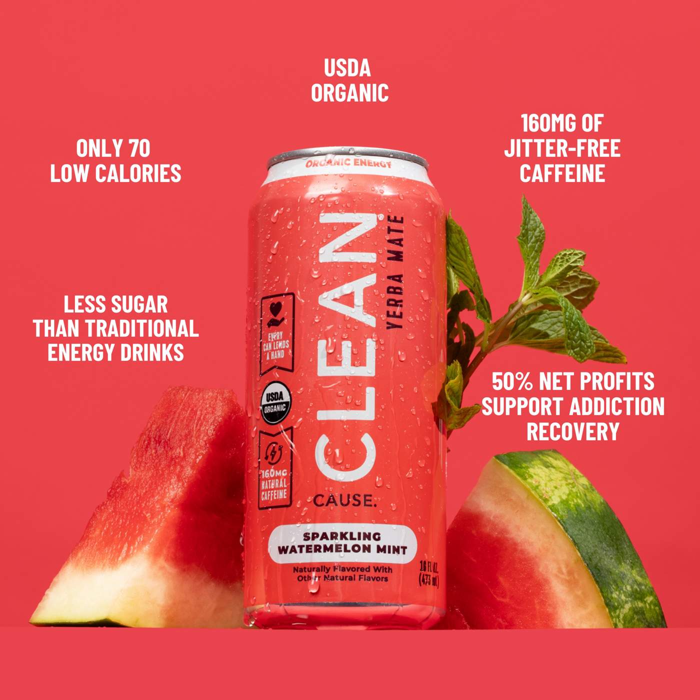 CLEAN Cause Watermelon Mint Organic Sparkling Yerba Mate; image 3 of 3