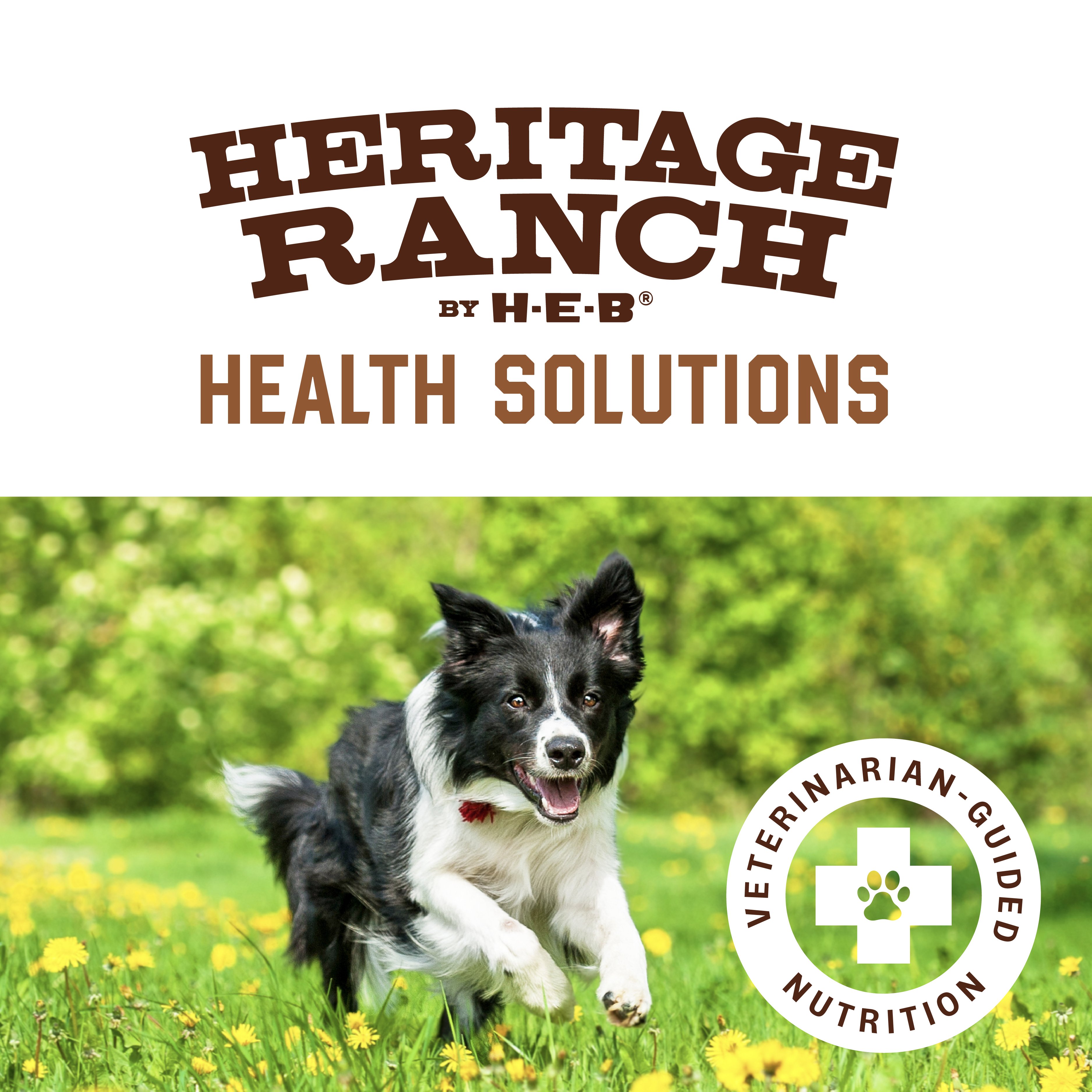 Heritage Ranch by H-E-B Skin Digestion Support Salmon Oatmeal Dry Dog Food