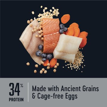 Heritage Ranch by H-E-B Terrain High Protein Diet Adult Dry Dog Food - Salmon, Whitefish & Trout