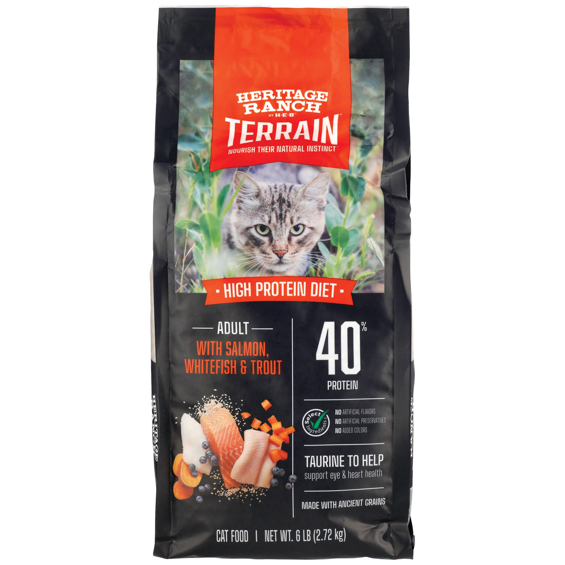 High protein 2025 dry cat food