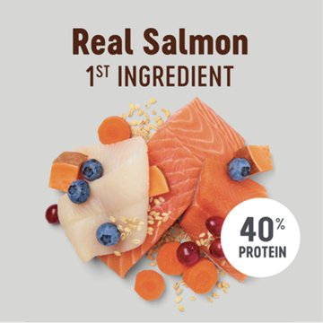 Heritage Ranch by H-E-B Terrain High Protein Diet Adult Dry Cat Food - Salmon, Whitefish & Trout