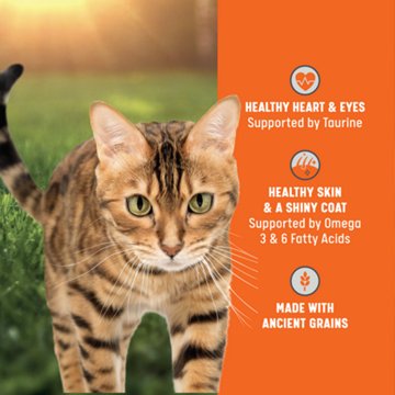 Heritage Ranch by H-E-B Terrain High Protein Diet Adult Dry Cat Food - Salmon, Whitefish & Trout