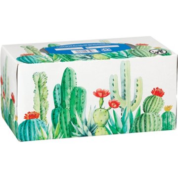 Hill Country Fare Facial Tissues, 200 ct