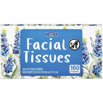 Hill Country Fare Facial Tissues, 160 ct