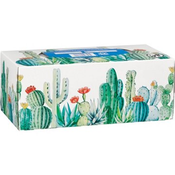 Hill Country Fare Facial Tissues, 160 ct