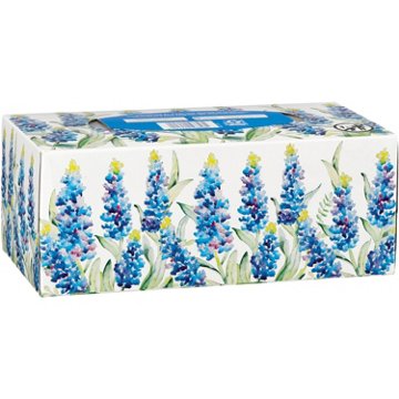 Hill Country Fare Facial Tissues, 160 ct