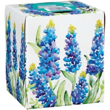 Hill Country Fare Lotion Facial Tissues, 66 ct