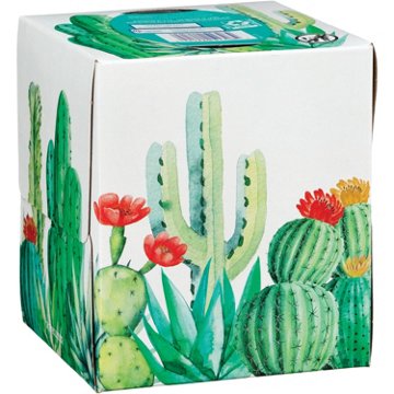 Hill Country Fare Lotion Facial Tissues, 66 ct