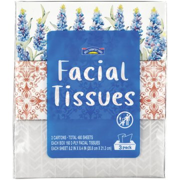 Hill Country Fare Facial Tissues 3 pk, 480 ct
