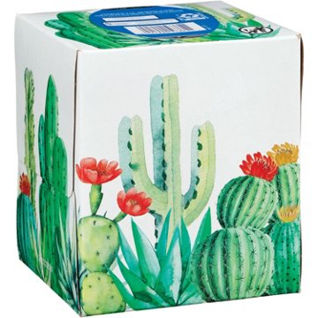 Hill Country Fare Facial Tissues, 70 ct