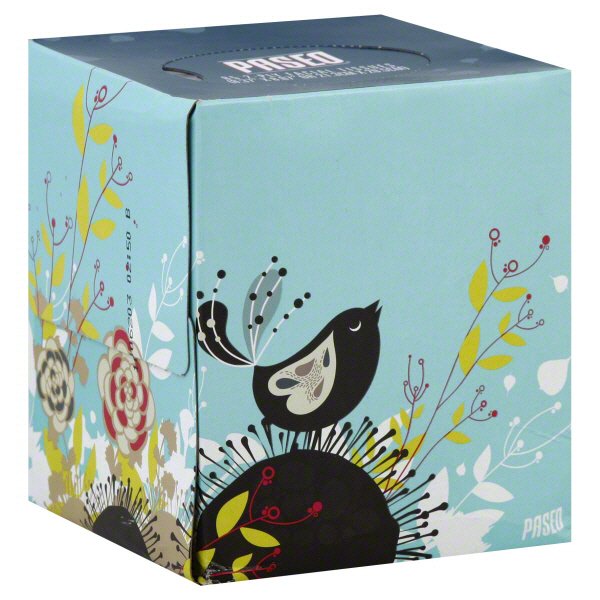 Paseo Fiora 2ply Tissues Cube Box Shop Facial Tissue at HEB