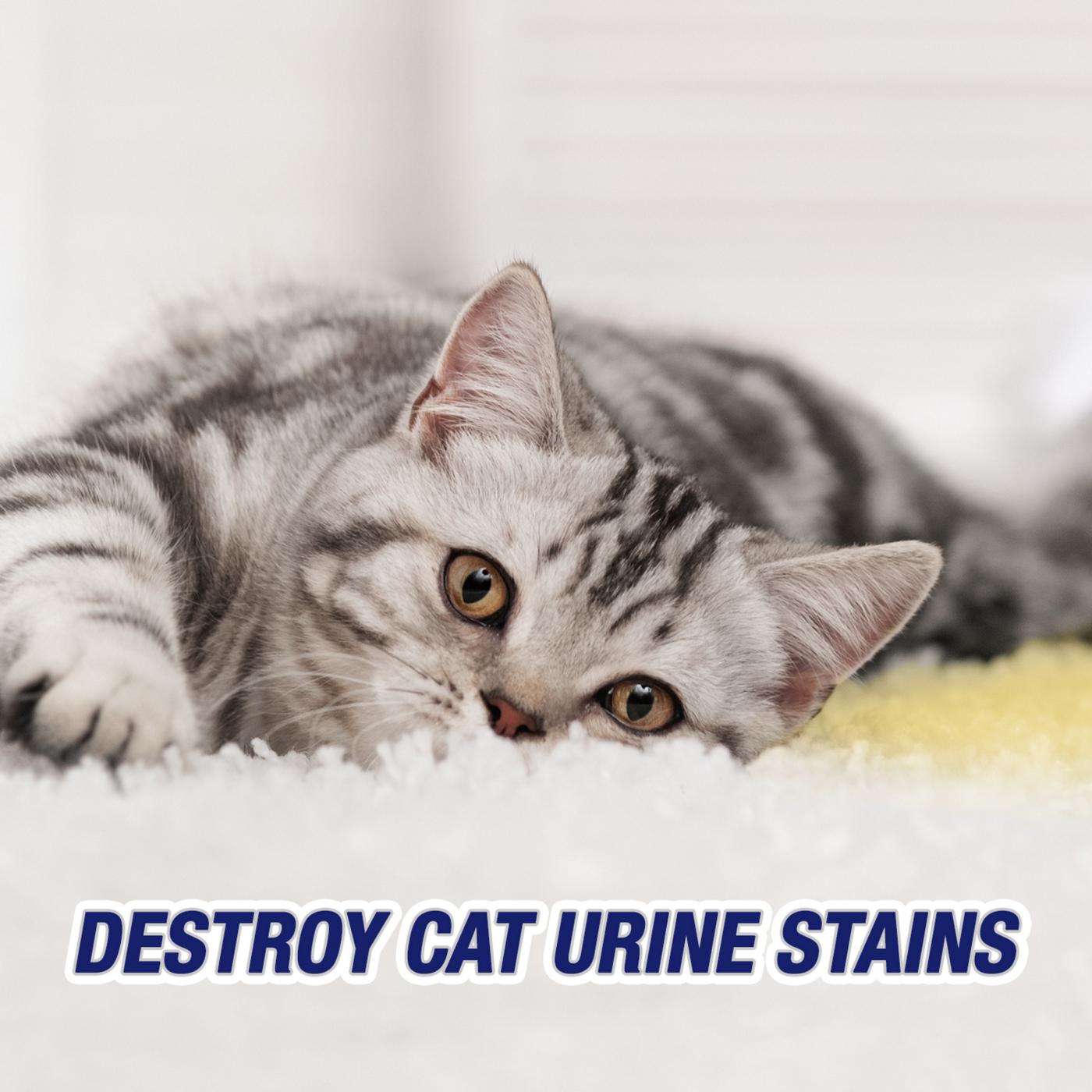 Resolve Urine Destroyer Stain & Odor Remover; image 3 of 12