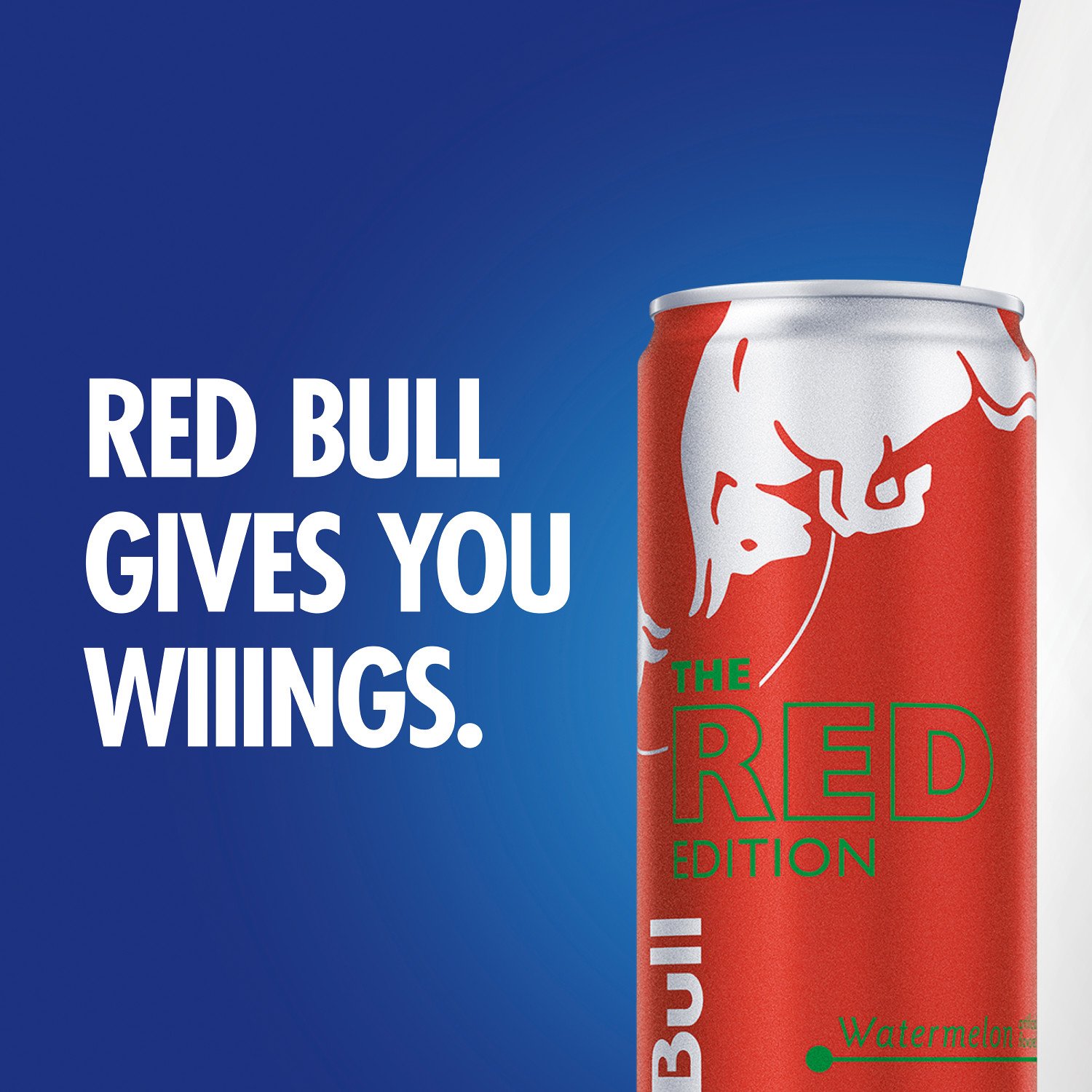 Red Bull Red Edition Watermelon Energy Drink - Shop Sports & energy drinks  at H-E-B