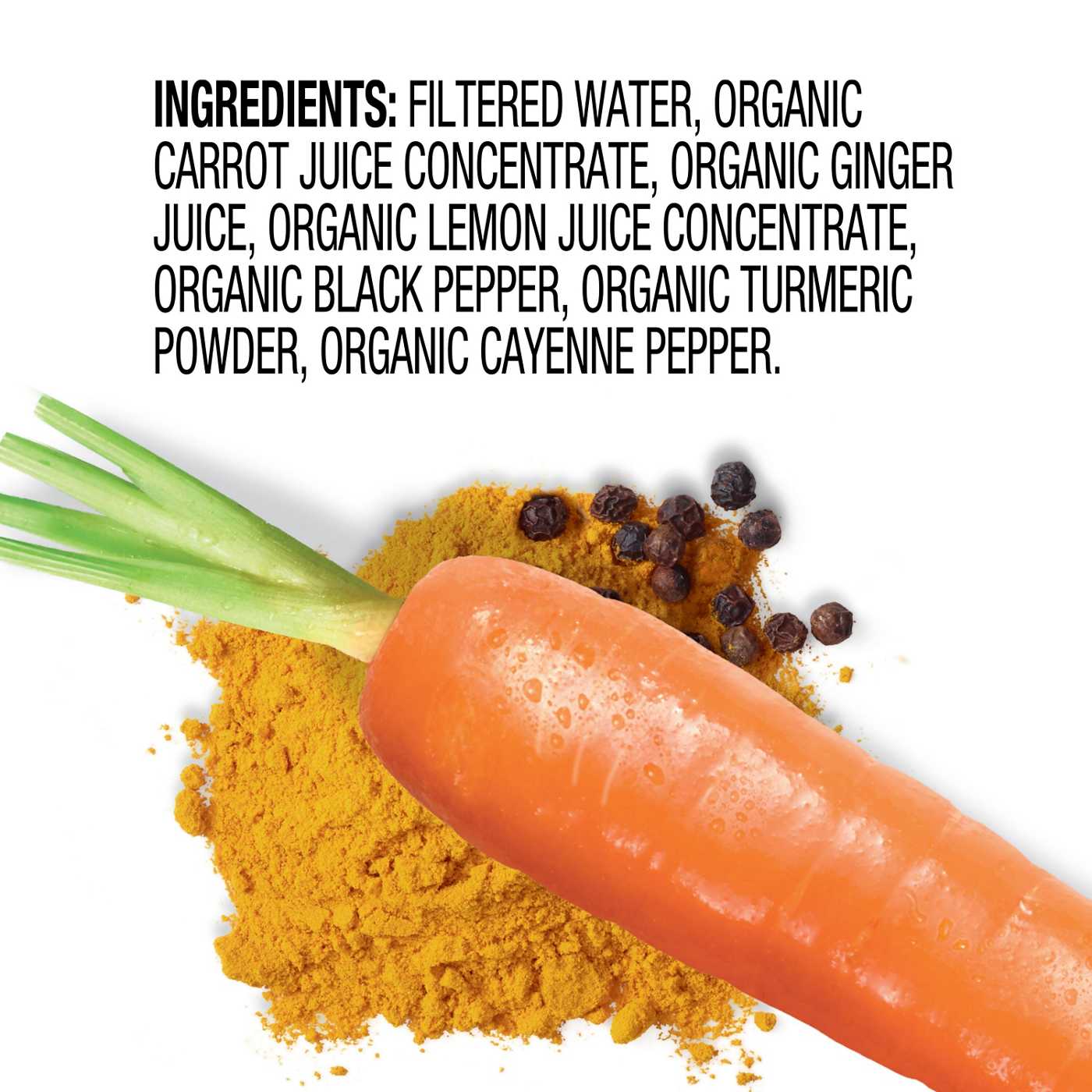 Knudsen Carrot Black Pepper Turmeric Shot Shop Juice at HEB