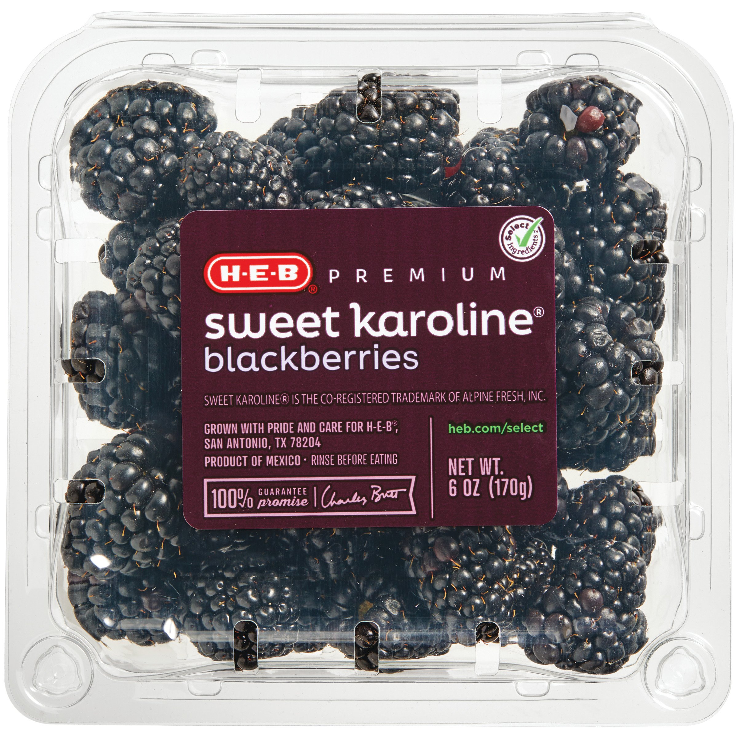 Fresh Sweet Karoline Blackberries Shop Berries & Cherries at HEB
